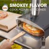 Forno per Pizza a Legna Portatile Mimiuo